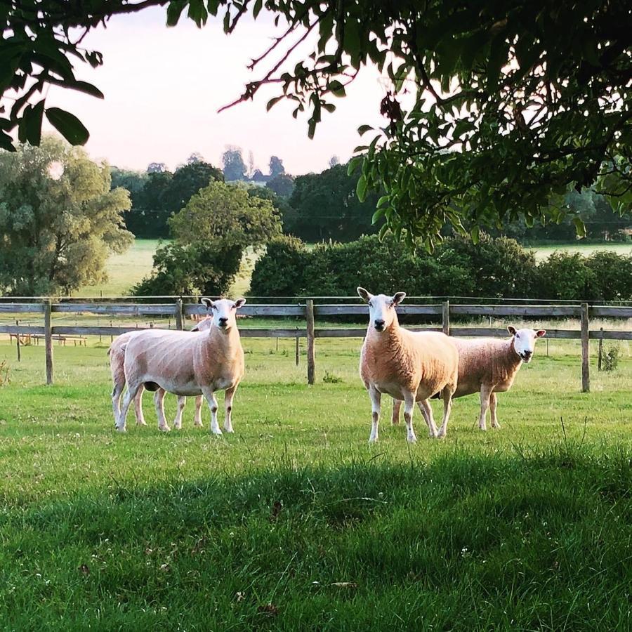 The Chaff House - Farm Set Within 135 Acres Apartment Bromyard